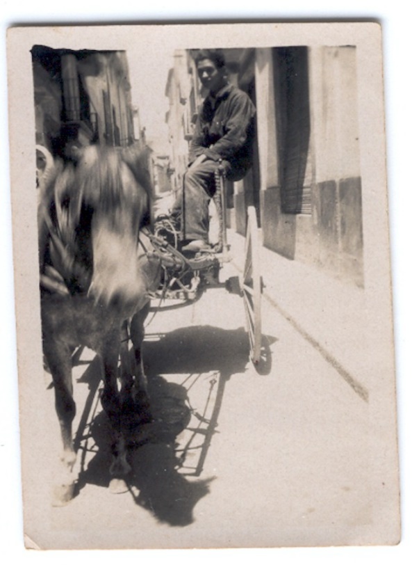 Avi Joaquim Radresa Fonts, de jove, amb carro i cavall transportant barres de gel.